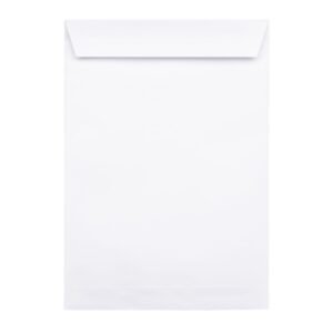 White Office Envelopes