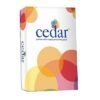 JK Cedar - A3, 500 Sheets, 100 GSM, 1 Ream